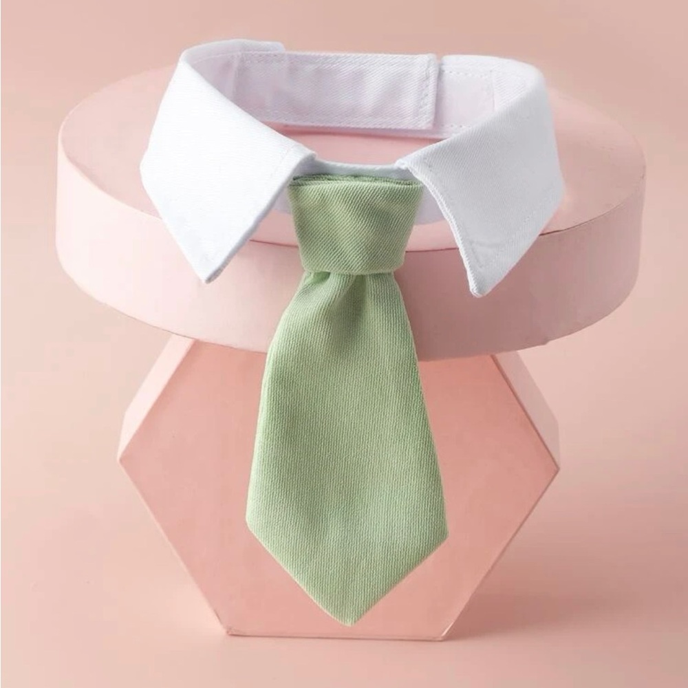 Brand New Tie Dog Collar
